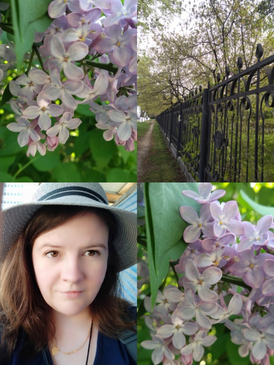 город синезаборск, да-да))
