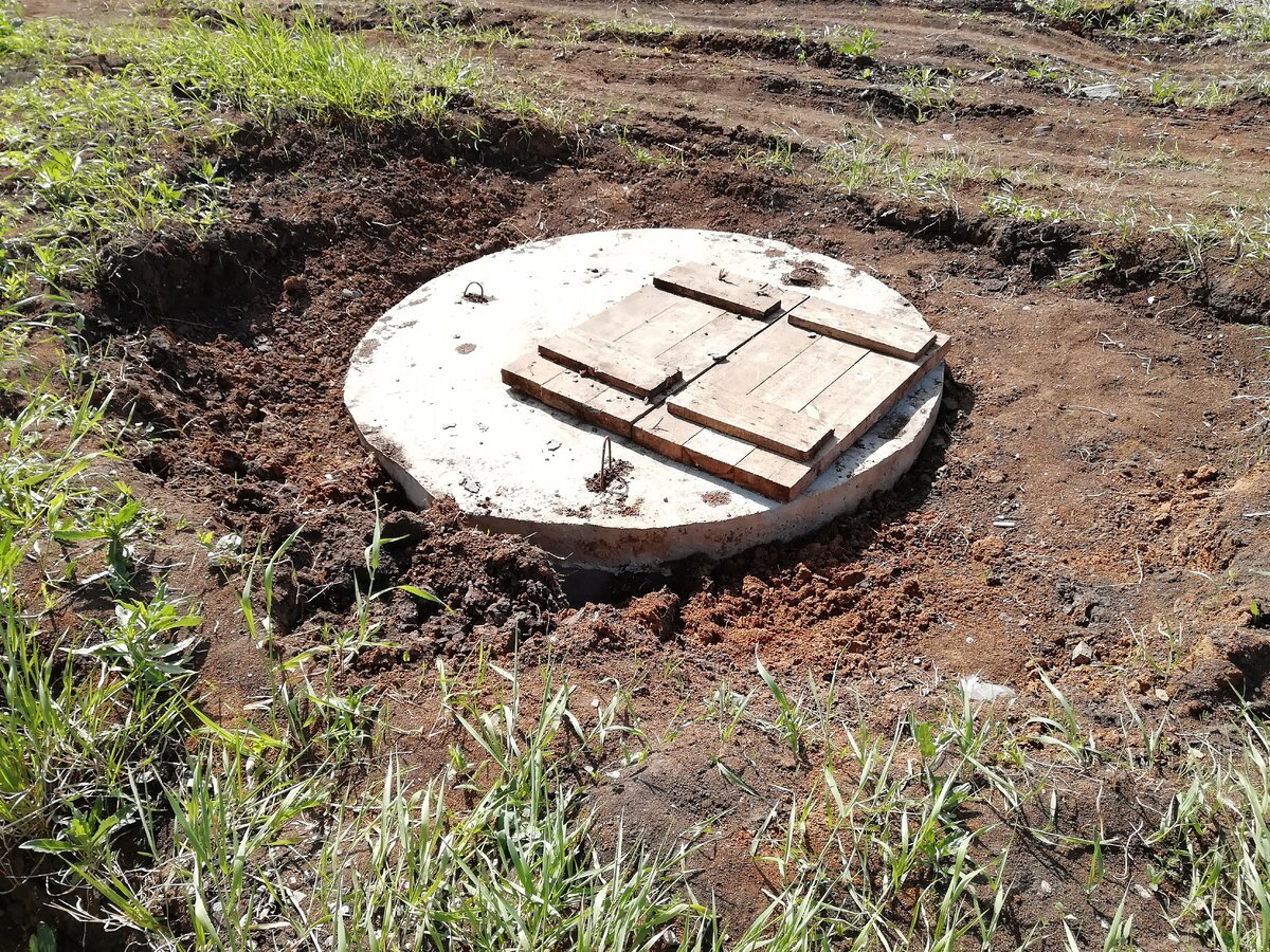 Фото автора. Александр Дедюхин 