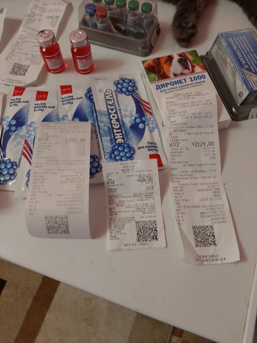 Каждый день по аптекам...