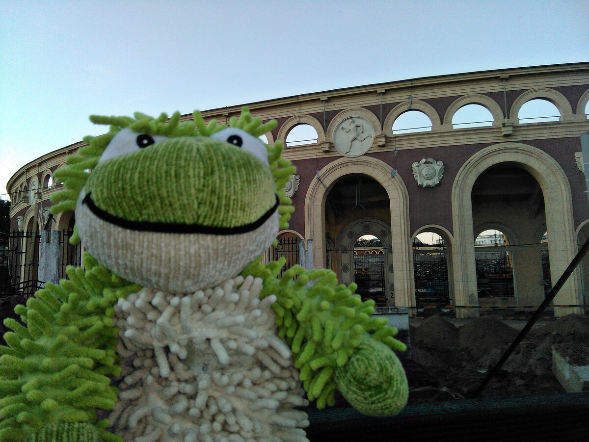 Лаванда на фоне строящегося стадиона Динамо в Минске.