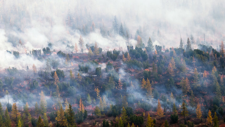 Красноярский  