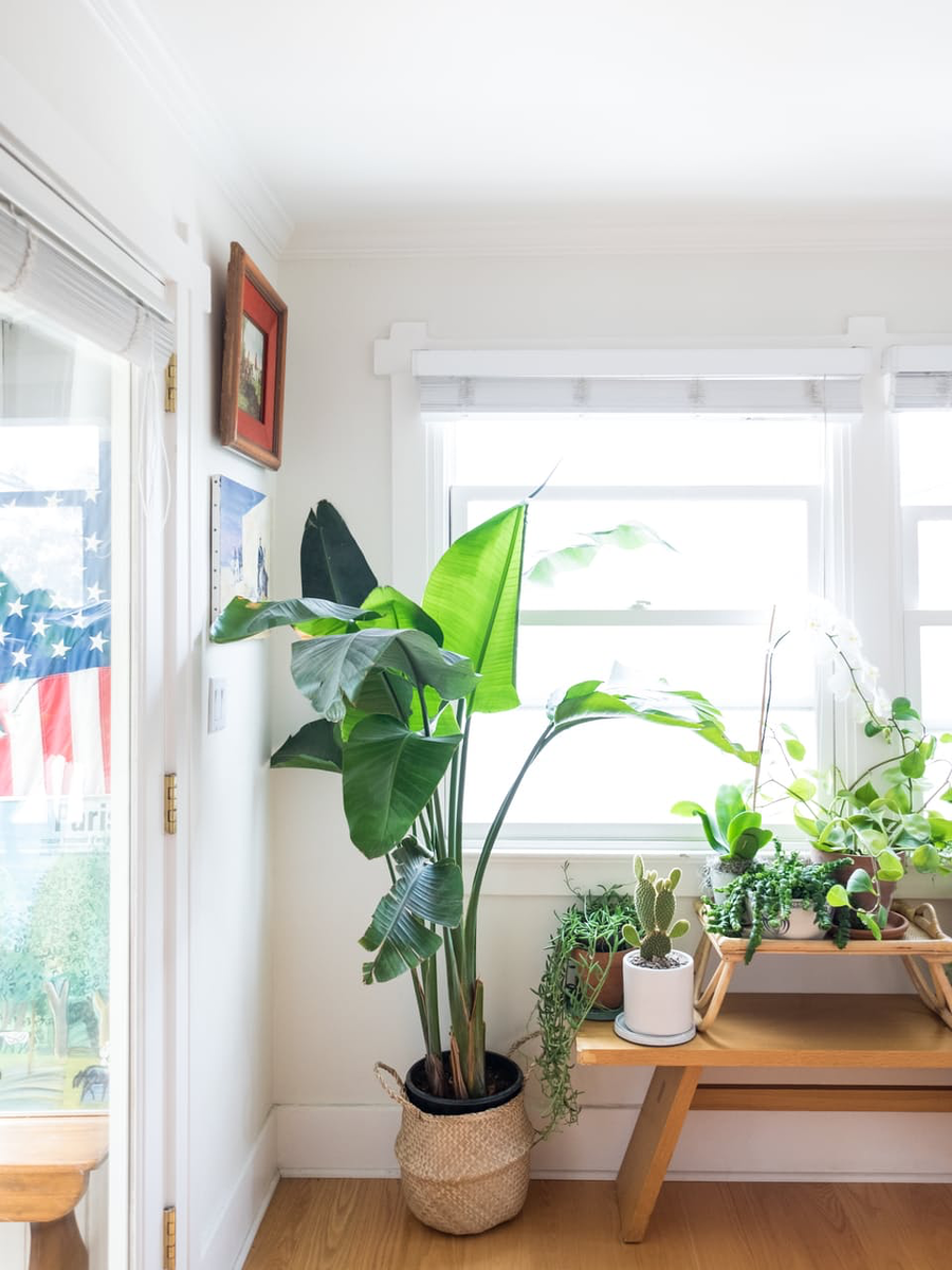 Идеи Вашего Дома