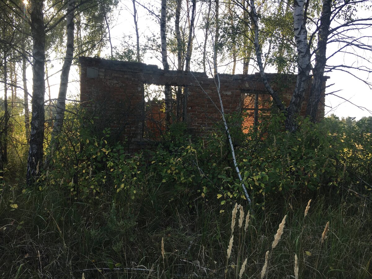 Сгоревшее село в Чернобыле - Стечанка. Почему сегодня горят радиоактивные дома?