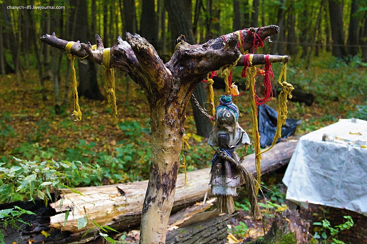 Капище всегда ставили там и так, чтобы посторонние там не появлялись. А те, кто появились... быстро исчезли.