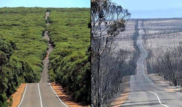 Планета избавляется от людей паразитов!