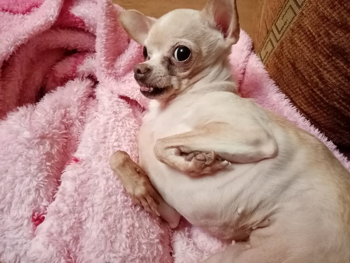 Моя маленькая, любимая красотулечка Глаша.