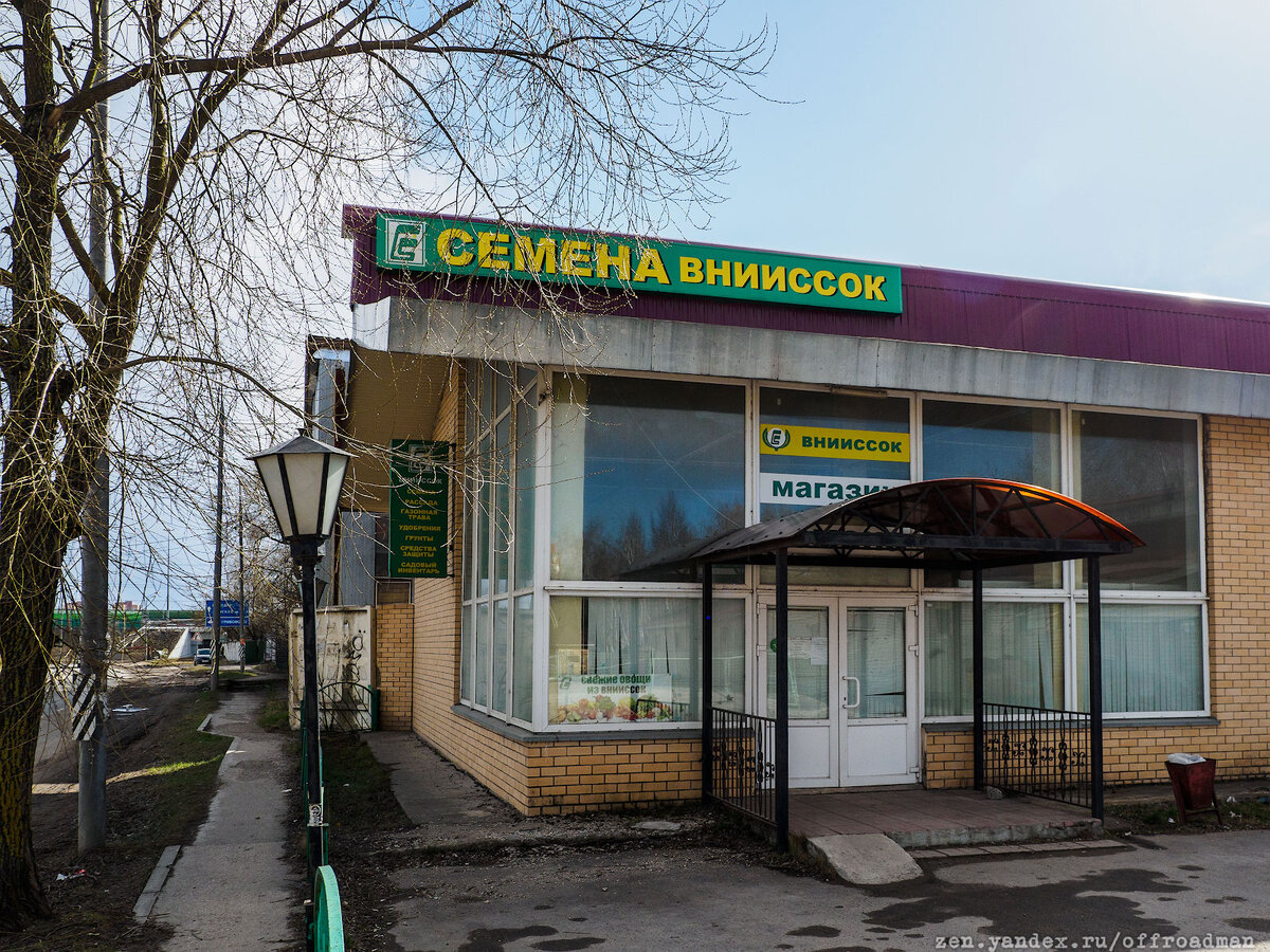 Увидел, что происходит с рассадой в теплицах ВНИИССОК. Дачникам и садоводам  Одинцовского района будет полезно | РЯБИНИН | ФОТОПУТЕШЕСТВИЯ | Дзен