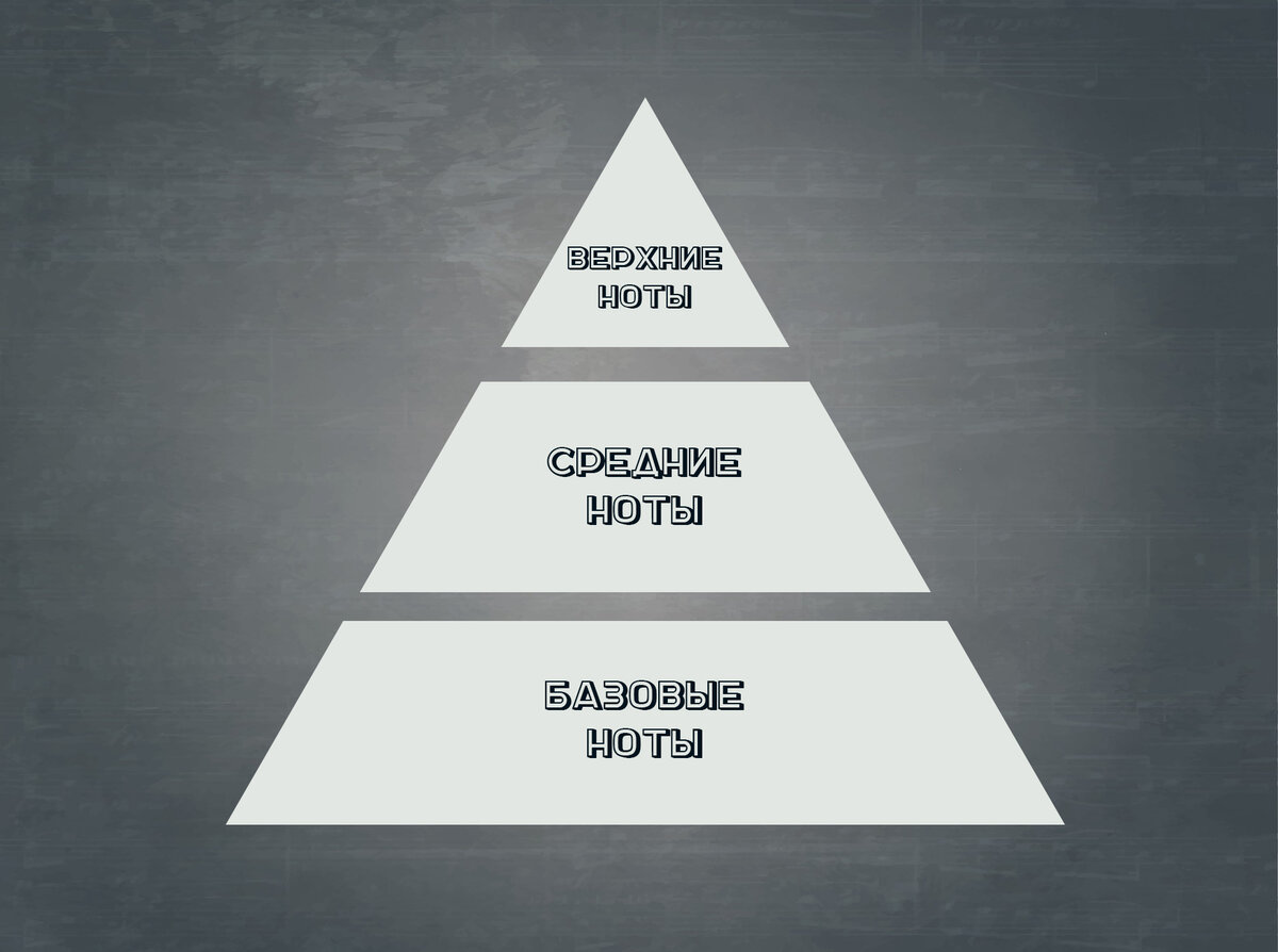 пирамида ароматов в парфюмерии