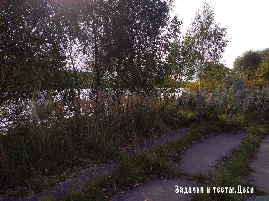 Источник: авторский коллаж канала