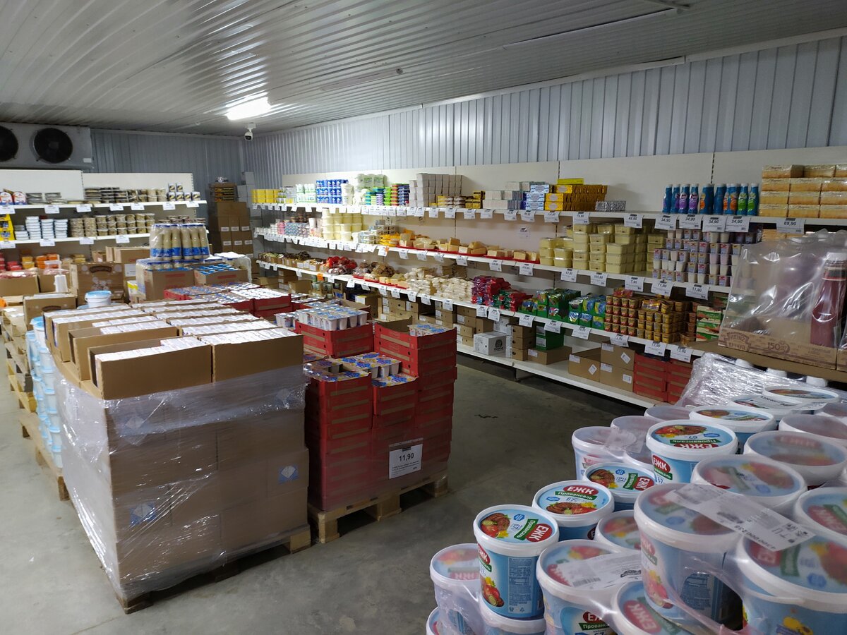 Фотография автора статьи