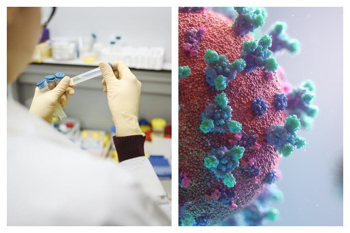 Фото: pexels, unsplash