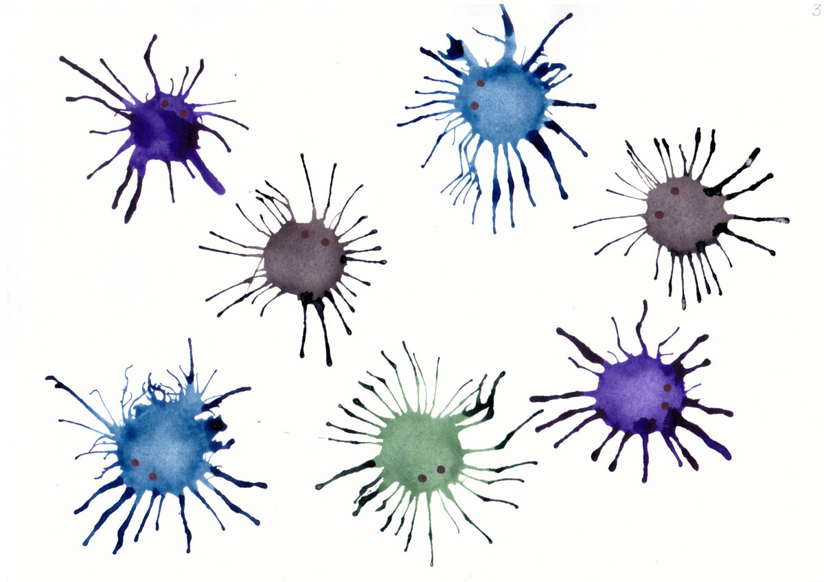 Вот так паучки!