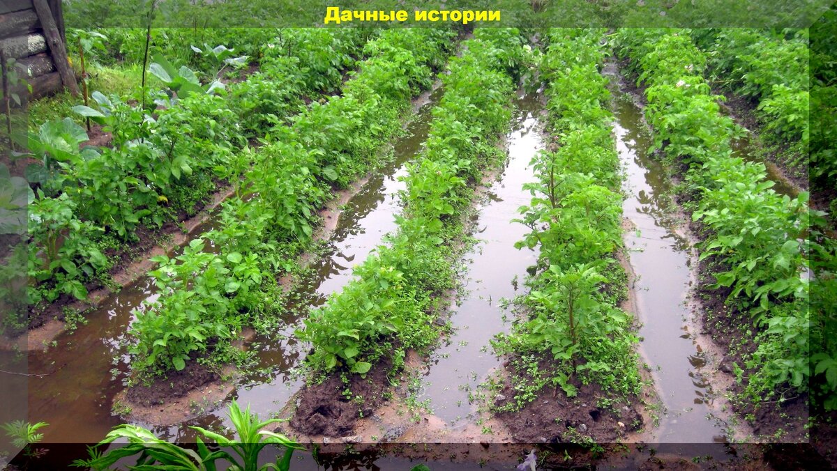 https://vk.com/photo-159774511_457248468