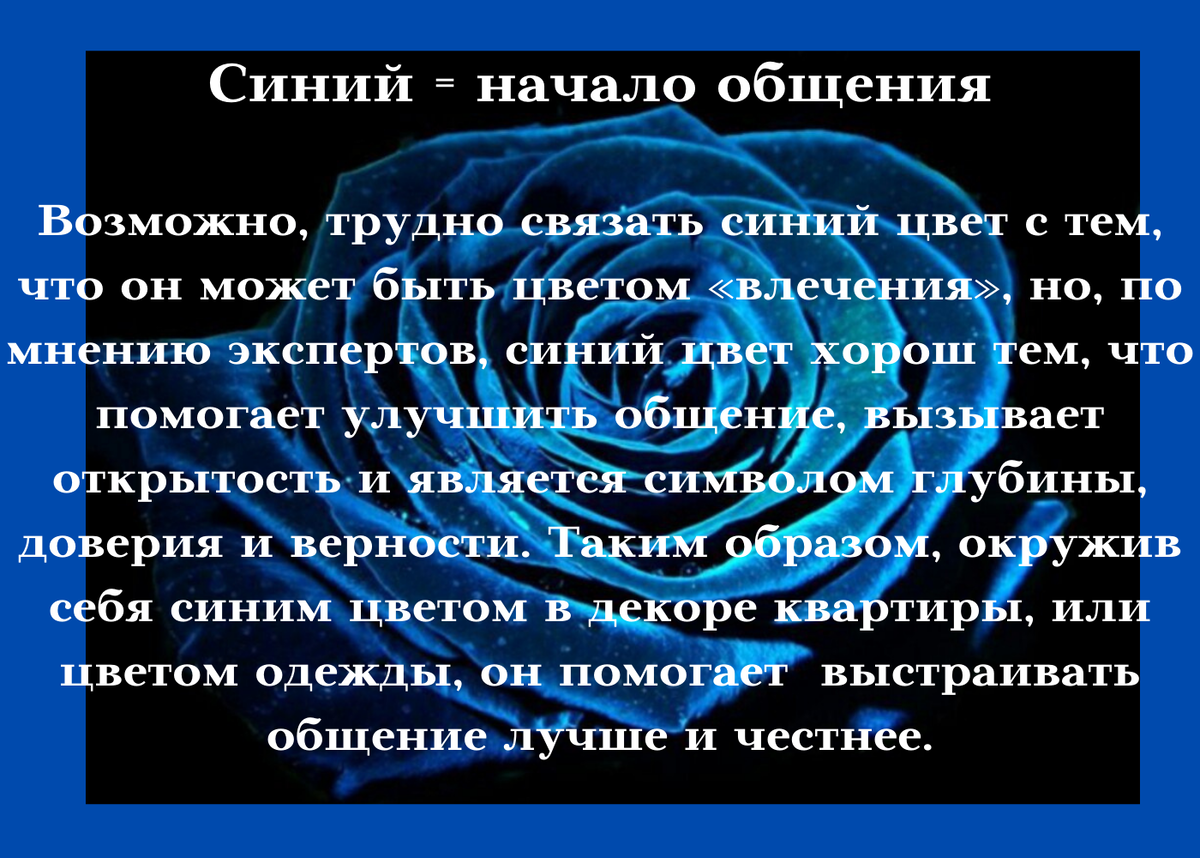Коллаж составлен в Канва, лично. Фото из открытого источника Яндекс. 