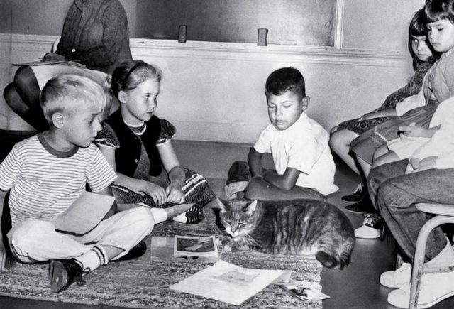 Фото: Art Worden / Herald-Examiner Collection / Los Angeles Public Library Archive 