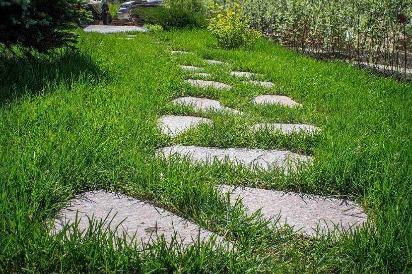 Фото с сервиса яндекс-картинки.