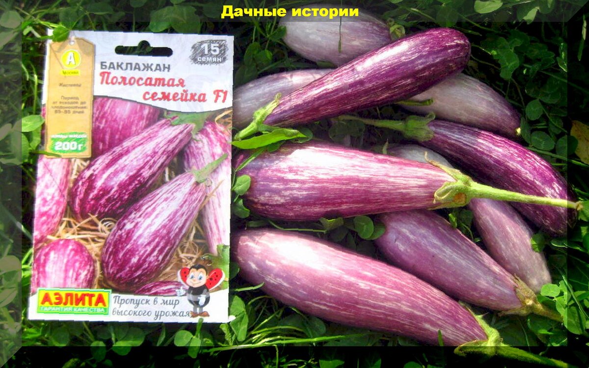 https://vk.com/photo-159774511_457250609