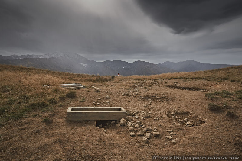 Солонцы, где мы хотели снимать оленей