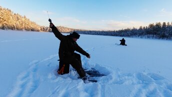 МЫ НЕ ПОДОЗРЕВАЛИ ЧТО В ЭТОЙ ЛУЖЕ МОРЕ РЫБЫ. РЫБАЛКА НА ДИКОМ ОЗЕРЕ. ПРОБРАЛИСЬ К ОЧЕНЬ РЫБНОМУ МЕСТУ.