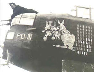 источник: http://www.diggerhistory.info/pages-flags/boxing-roo.htm