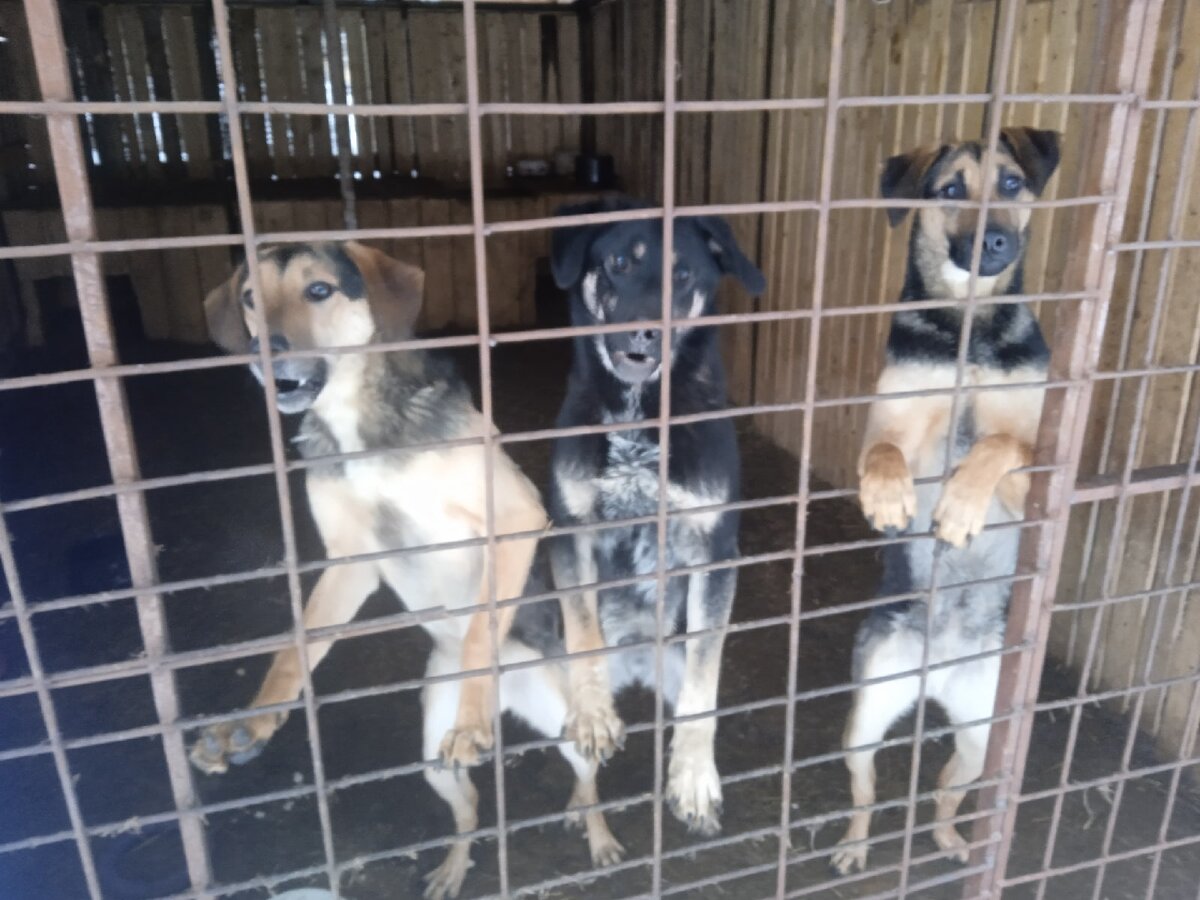 Впереди ещё   много работы  с этими ребятами