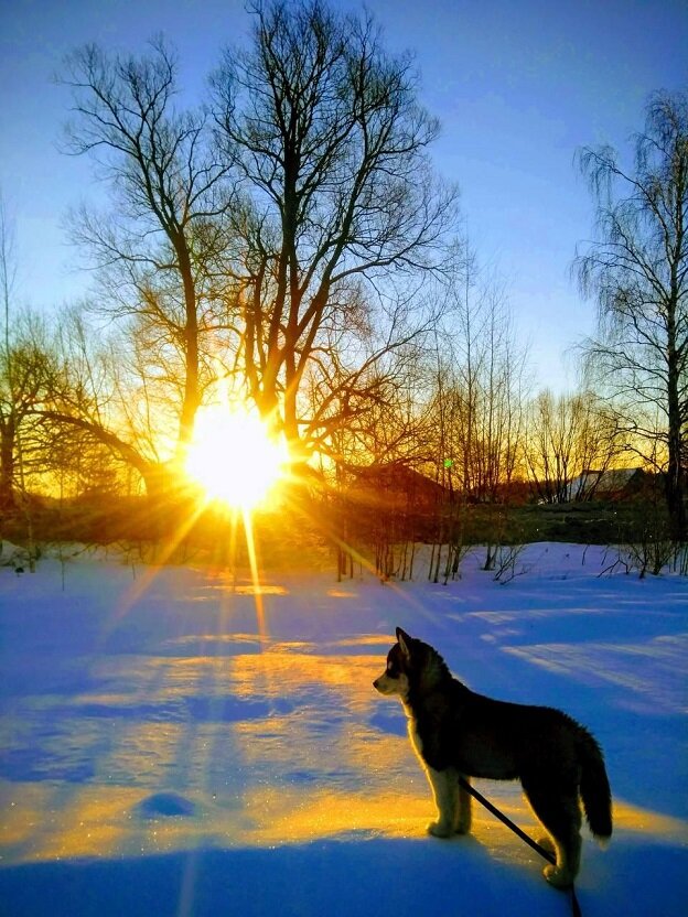 -Весь этот мир - мой!