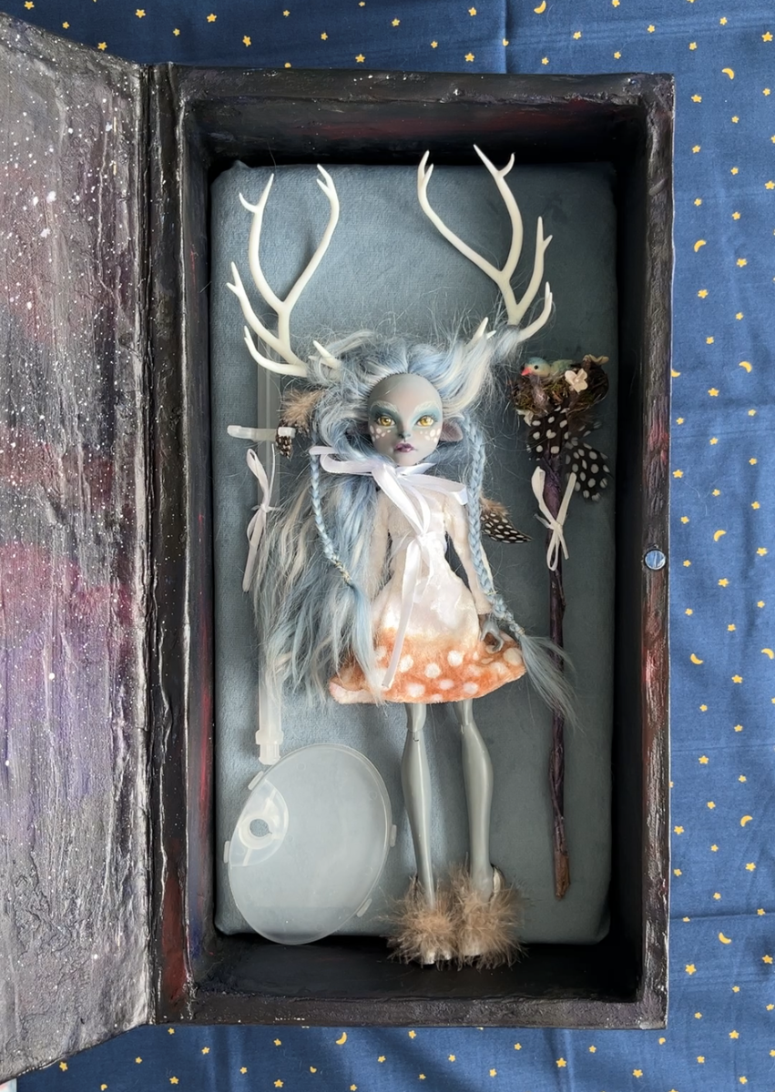 Упаковка кукол Ночные отражения 