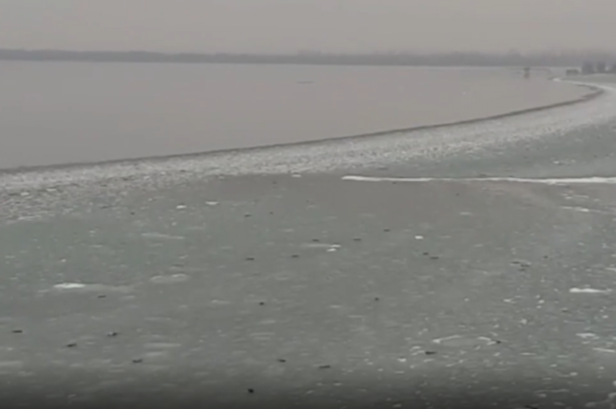    Уголовное дело возбуждено по факту массовой гибели птиц на Ставрополье