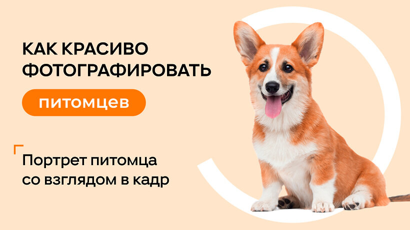    Прект ФотоСоветы от ОК © Пресс-служба «Одноклассников»