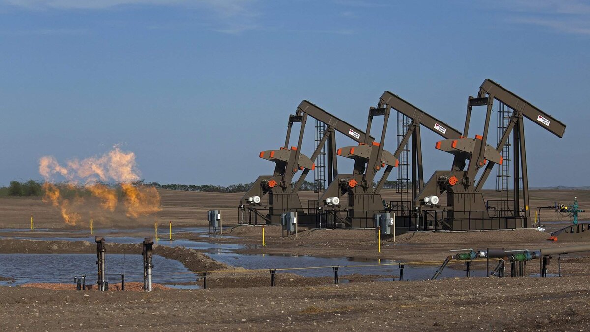 Global Look Press/Jim West