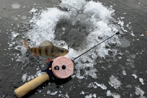 Самодельные удилища для зимней ловли с насадкой - Самоделки для рыбалки своими руками