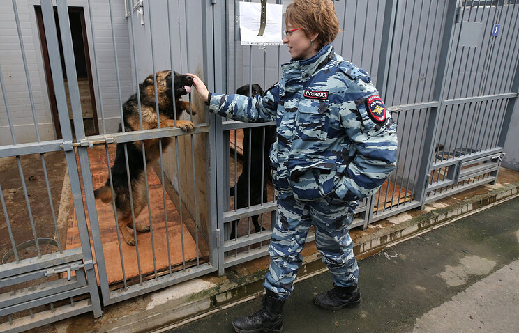 Капитан полиции Ольга Миргорода и овчарка Дунай в кинологическом центре © Александр Демьянчук/ТАСС