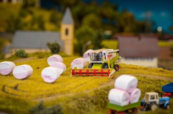 "Зефирные поля" 

