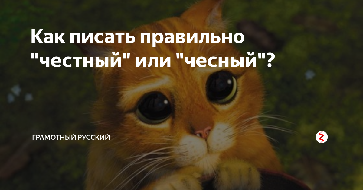 Чесно. Как правильно честный или чесный пишется. Честная или чесная. Честно или чесно. Как писать честно или чесно