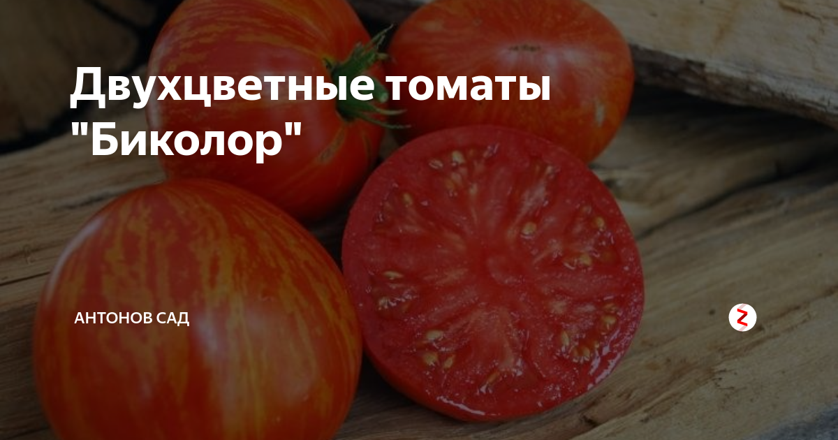 Томат Двухцветный Ананас: описание полосатого помидора биколор, характеристика с