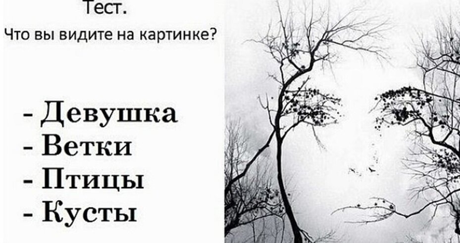Дзен тесты в картинках