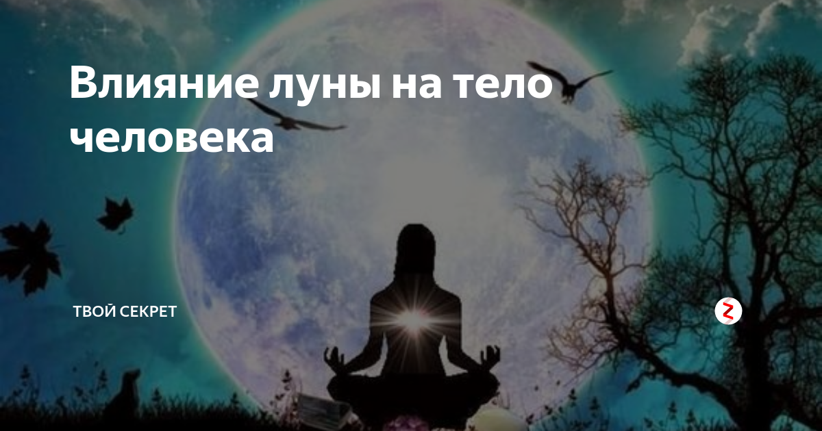 Phases of the Moon and Their Effect on Man The lunar month lasts 29.6 days, from