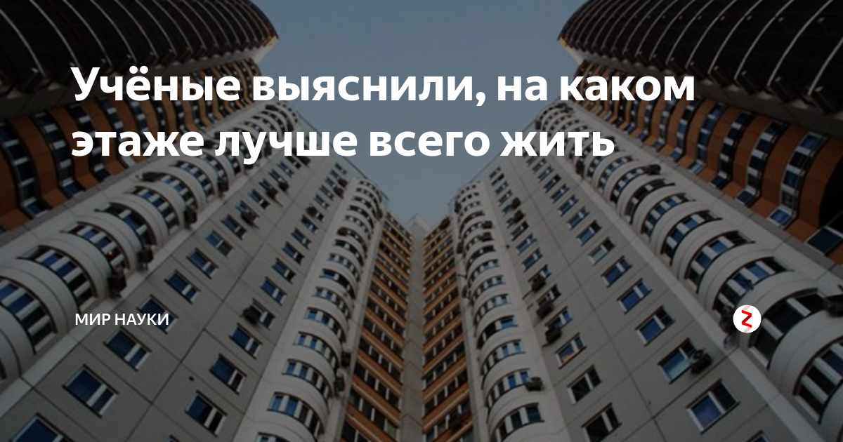 Ответ на загадку о лифте. На каком этаже. Лучшие этажи для проживания. Кто жил в теремке. 10.