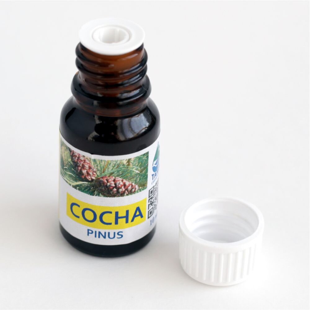 Эфирное масло Сосны 10 мл.  «Тайга Сибирская» от компании ООО "Новые ресурсы"