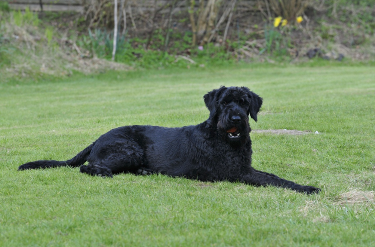 завалим лайками здоровяка! 😝 