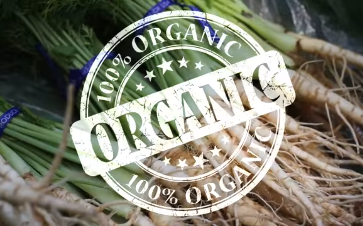 Существует доступных растений с фантастическими свойствами, и одно из них - Чеснок.