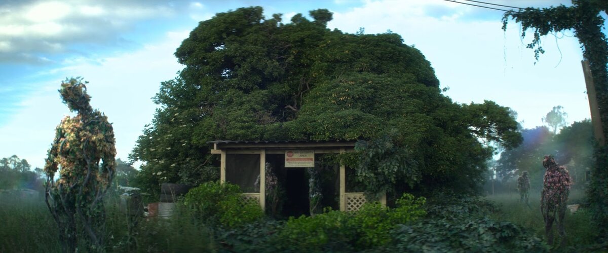 Источник: shishkino.info