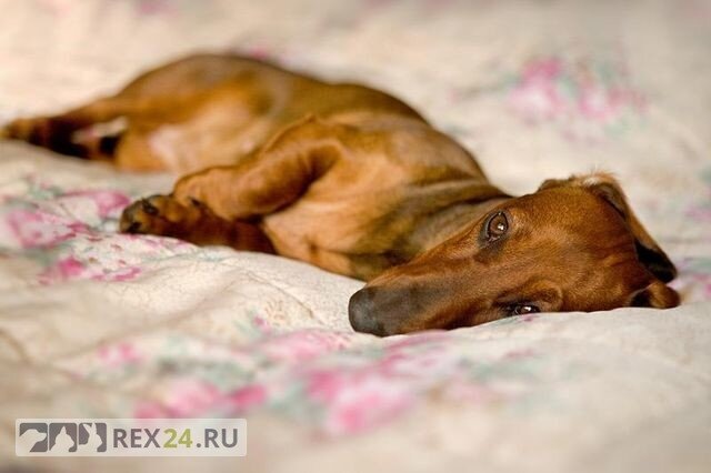 Фото: соцсети  