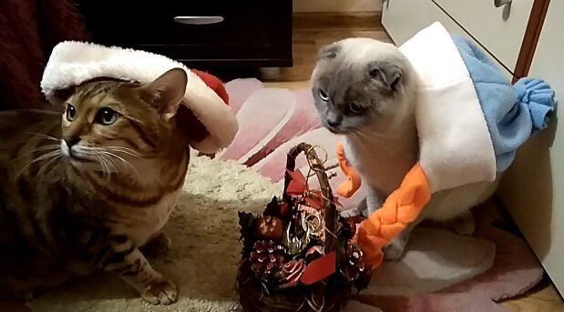 Мы как бы уже готовы к Новому году.