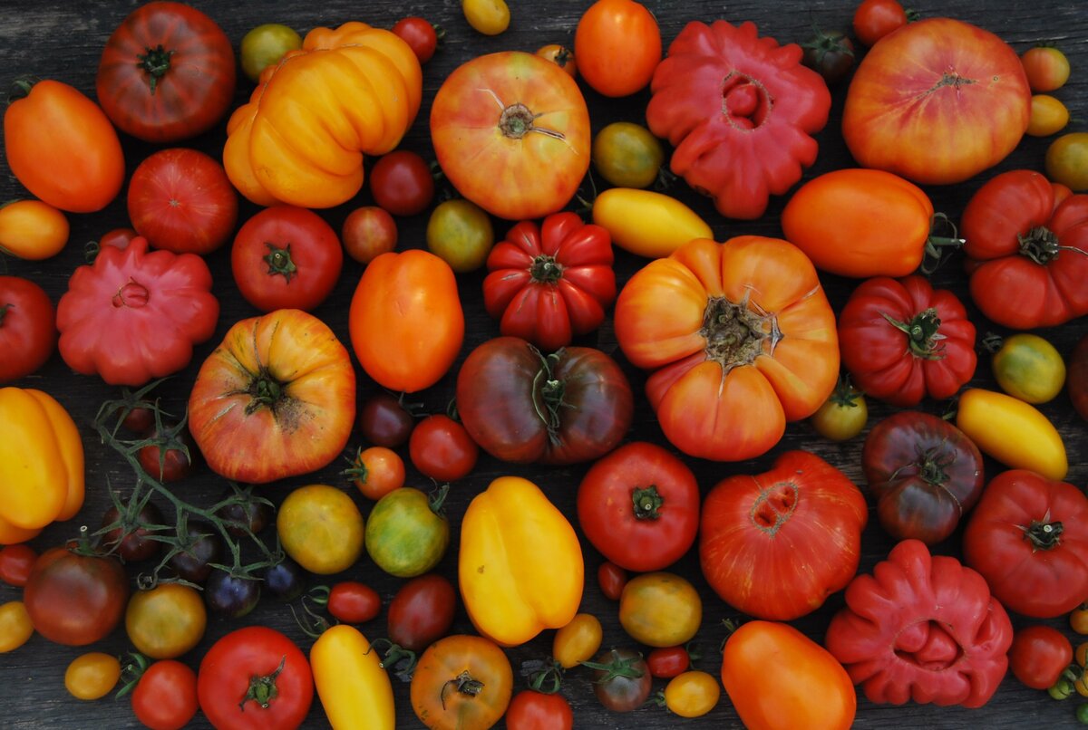 Краснодарский урожай