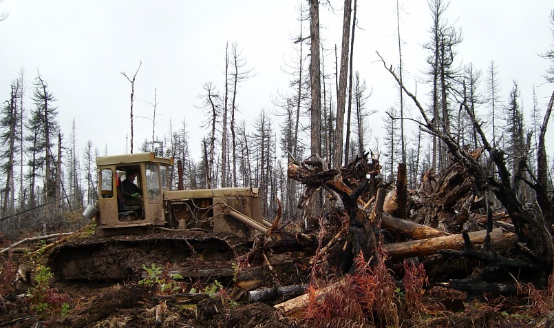 Бульдозер ровняет площадку под строительство.