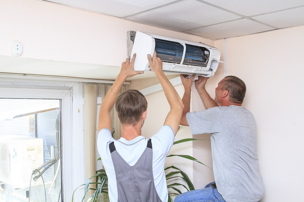 Фото взято с сайта agroupp22.ru