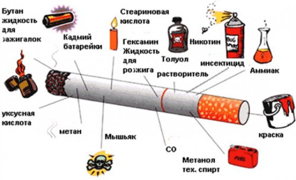 Проект на тему влияние никотина на организм человека