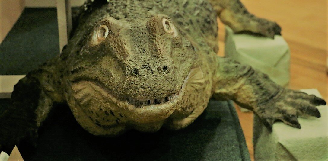 фото предоставлено Костромским областным отделением РГО