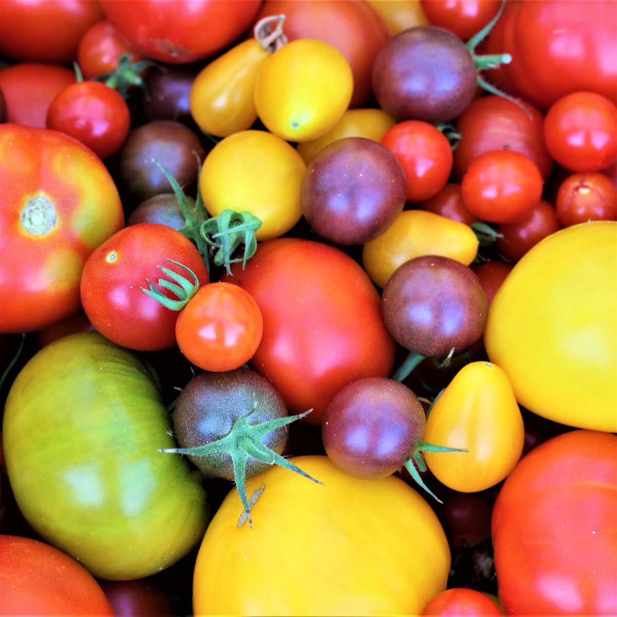 Фото мое. Урожай 2018